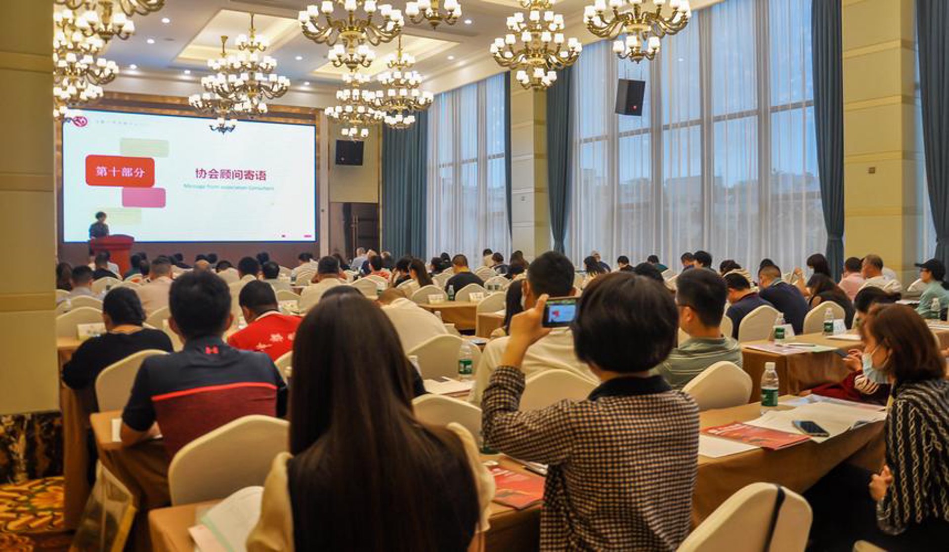 阳新人才网
