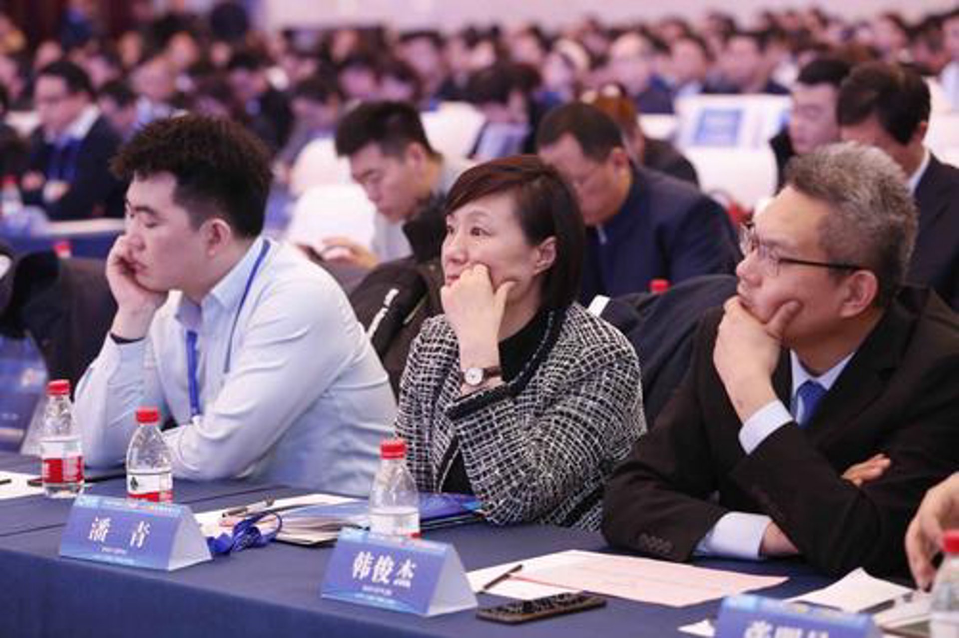 阳新人才网